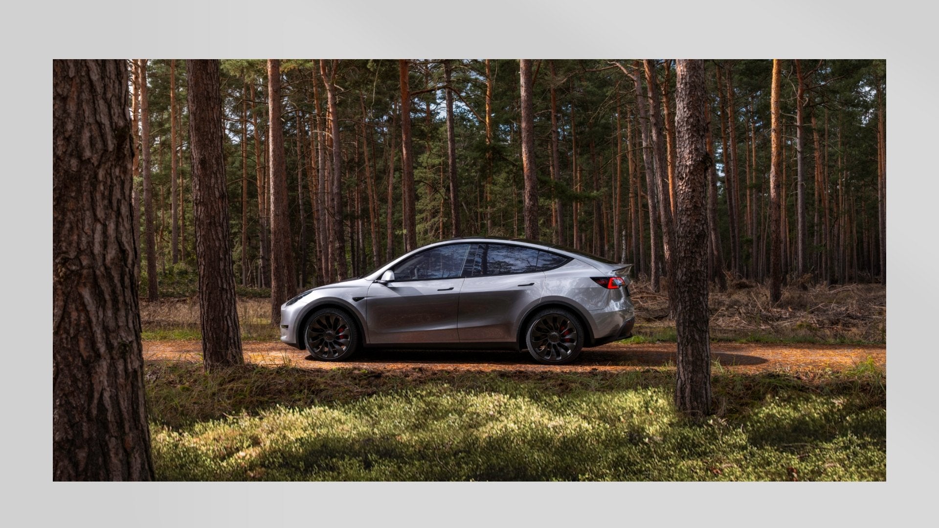 Tesla baut wohl Basis-Model-Y mit BYD-Akkus in Grünheide
