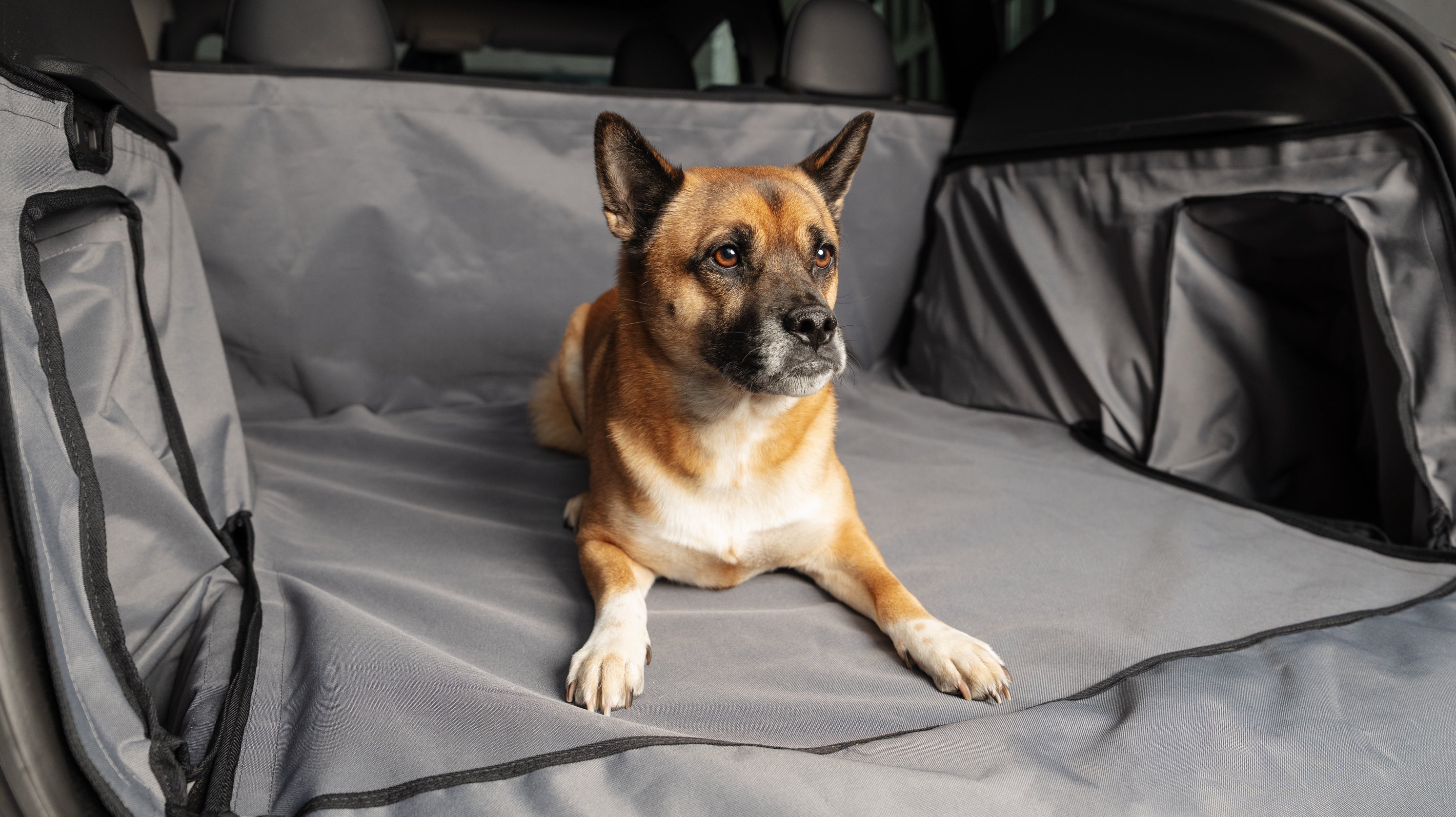 Kofferraumschutz für Hunde, Alltag und Ladung für das Tesla Model Y - Shop4Tesla